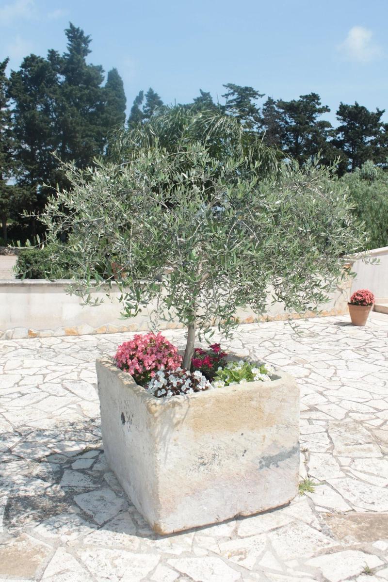 Tenuta Turchi Otranto Exteriör bild